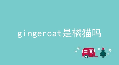 gingercat是橘猫吗