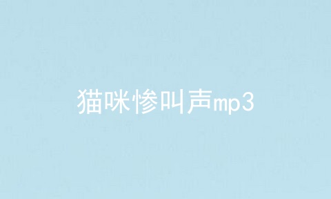 猫咪惨叫声mp3