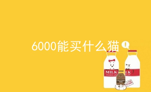 6000能买什么猫