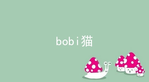 bobi猫