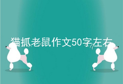 猫抓老鼠作文50字左右