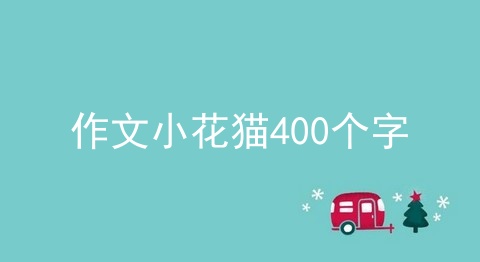 作文小花猫400个字