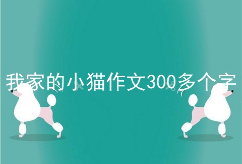 我家的小猫作文300多个字