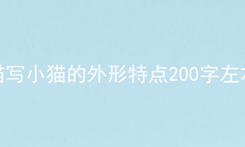 描写小猫的外形特点200字左右