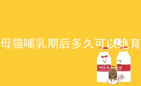 母猫哺乳期后多久可以绝育