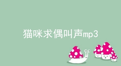 猫咪求偶叫声mp3