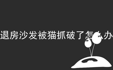 退房沙发被猫抓破了怎么办