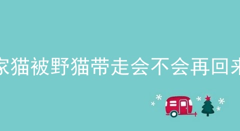 家猫被野猫带走会不会再回来