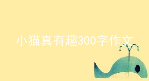 小猫真有趣300字作文