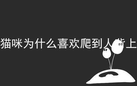 猫咪为什么喜欢爬到人背上