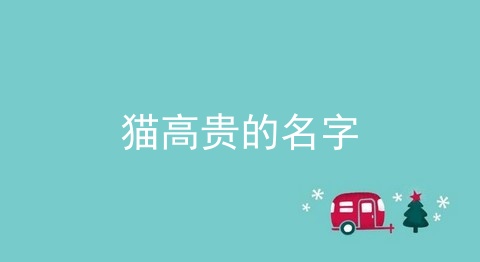 猫高贵的名字