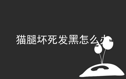 猫腿坏死发黑怎么办