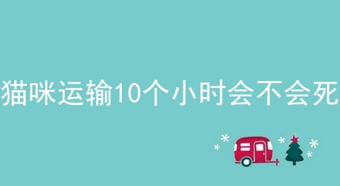 猫咪运输10个小时会不会死