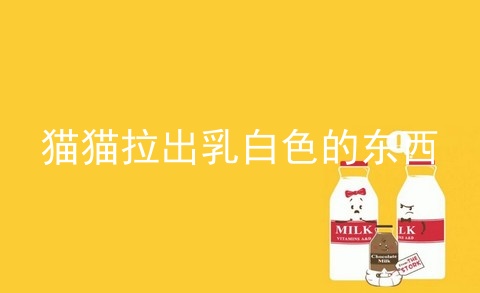 猫猫拉出乳白色的东西