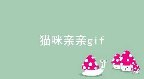 猫咪亲亲gif