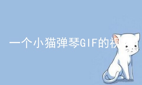 一个小猫弹琴GIF的视频