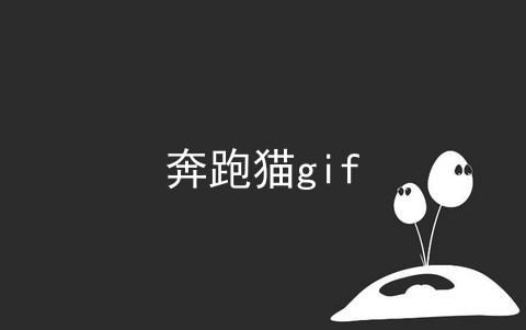 奔跑猫gif