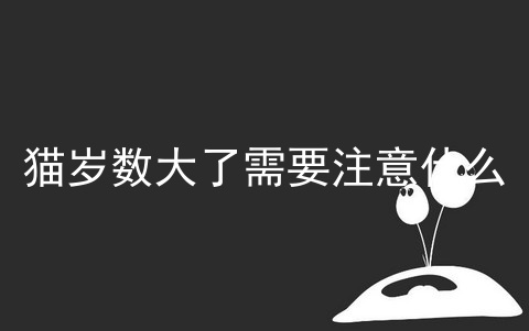 猫岁数大了需要注意什么