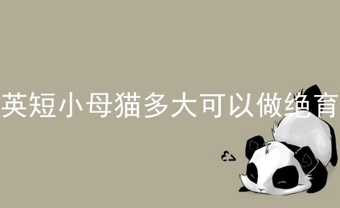 <a href=/cat/13.html target=_blank class=infotextkey>英短</a>小母猫多大可以做绝育