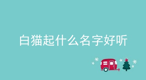 白猫起什么名字好听