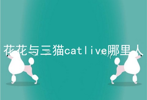 花花与三猫catlive哪里人