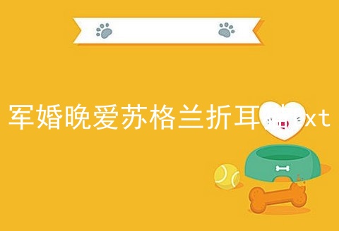 军婚晚爱苏格兰折耳猫txt