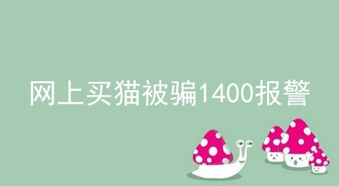 网上买猫被骗1400报警