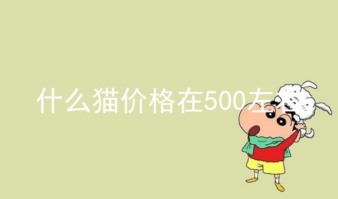 什么猫价格在500左右