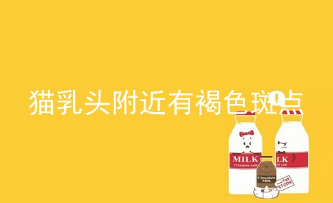 猫乳头附近有褐色斑点