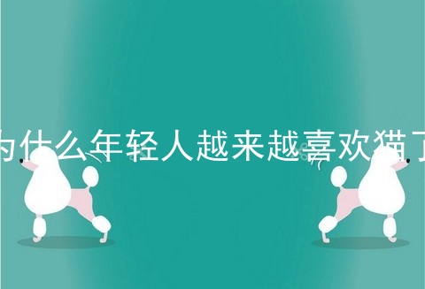 为什么年轻人越来越喜欢猫了