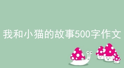 我和小猫的故事500字作文