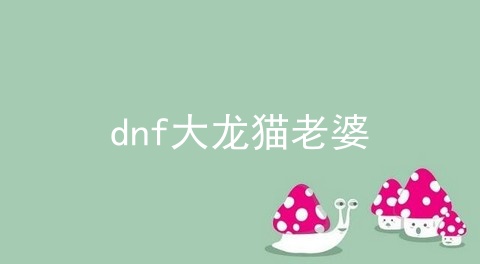 dnf大龙猫老婆