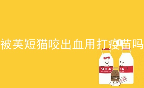 被<a href=/cat/13.html target=_blank class=infotextkey>英短</a>猫咬出血用打疫苗吗