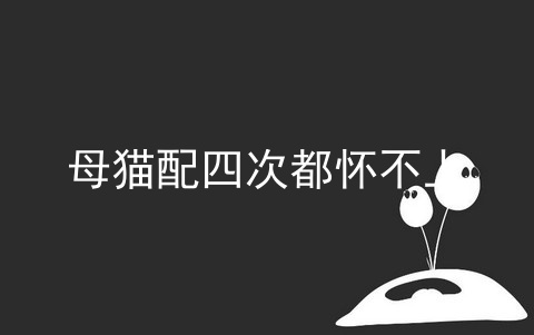 母猫配四次都怀不上