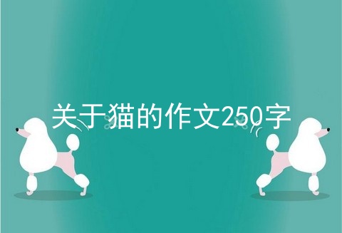 关于猫的作文250字