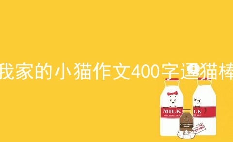 我家的小猫作文400字逗猫棒