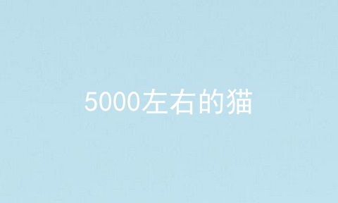 5000左右的猫