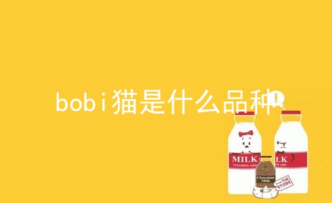 bobi猫是什么品种