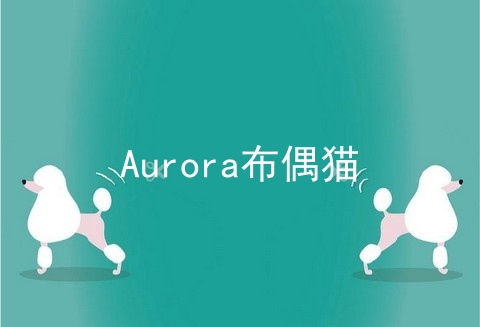 Aurora布偶猫