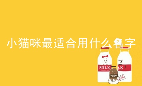 小猫咪最适合用什么名字