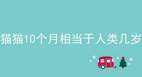 猫猫10个月相当于人类几岁