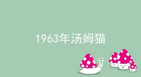 1963年汤姆猫