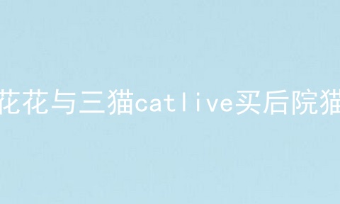 花花与三猫catlive买后院猫