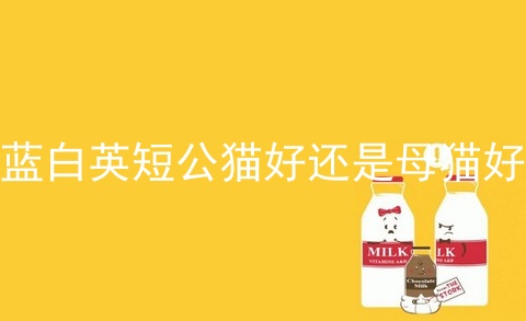 蓝白<a href=/cat/13.html target=_blank class=infotextkey>英短</a>公猫好还是母猫好