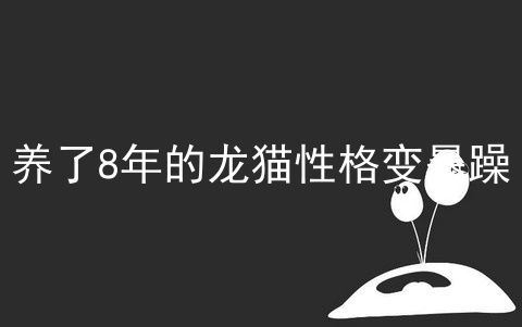 养了8年的龙猫性格变暴躁