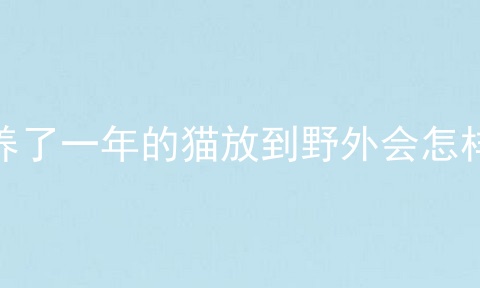 养了一年的猫放到野外会怎样