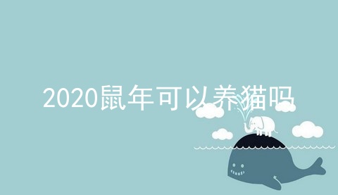 2020鼠年可以养猫吗