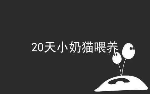 20天小奶猫喂养