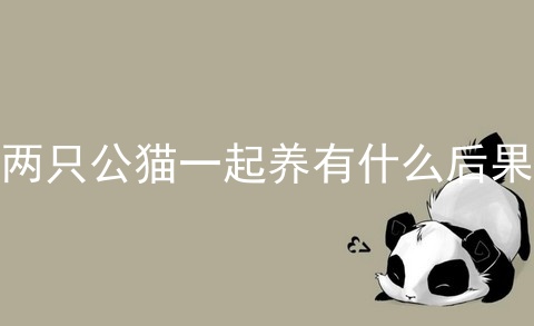 两只公猫一起养有什么后果