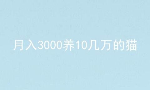 月入3000养10几万的猫